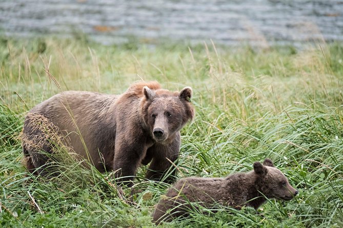 Exclusive Photography Tour to Haines - Skagway Departure - Chilkoot Lake State Recreation Area and the wider valley