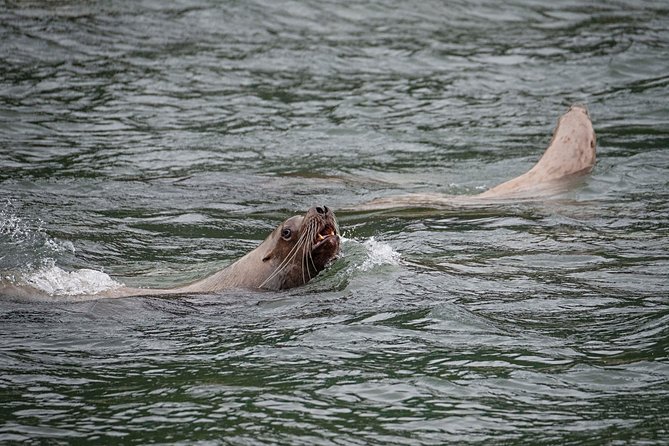 Exclusive Photography Tour to Haines - Skagway Departure - Timing, group size, and the $356 price