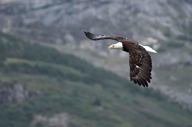 Exclusive Photography Tour to Haines - Skagway Departure - Lunch and practical comfort