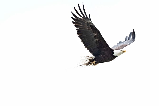 Exclusive Photography Tour to Haines - Skagway Departure - The ferry ride across Lynn Canal