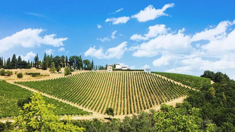 Florence Countryside 2.5h Premium E-Bike Tour + Photo Shoot - Arcetri: a quieter side of Florence