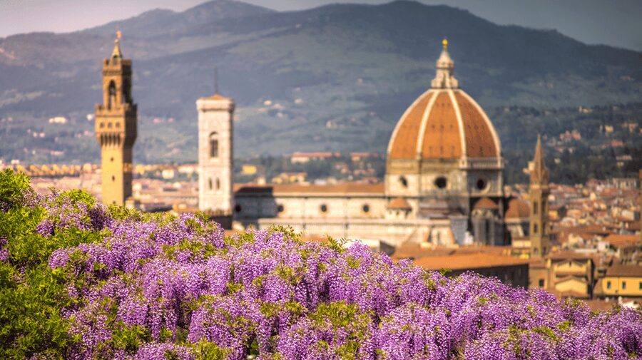 Florence Premium E-Bike Tour + Photo Shoot and Tastings - Piazzale Michelangelo and San Niccolò