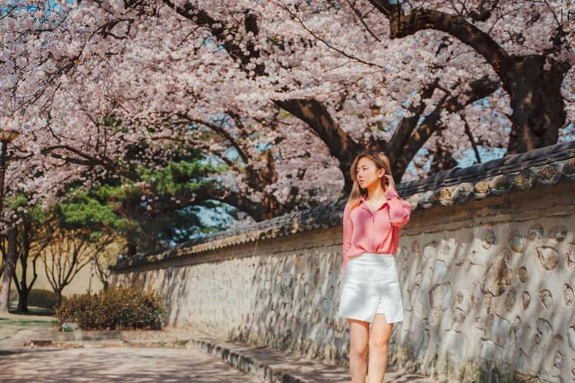 From Busan: Gyeongju Small Group Photo Tour & Hotel Pick-up - What you actually receive for $130