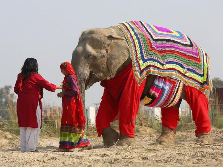 From Delhi: Taj Mahal with Photographer & Elephant SOS Tour - Key points to know before booking