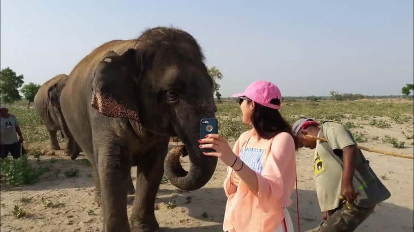 From Delhi: Taj Mahal with Photographer & Elephant SOS Tour - Who will enjoy this Agra day trip most?