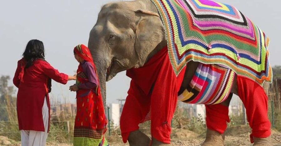 From Delhi: Taj Mahal with Photographer & Elephant SOS Tour - Meeting your guide and photographer at the Taj Mahal