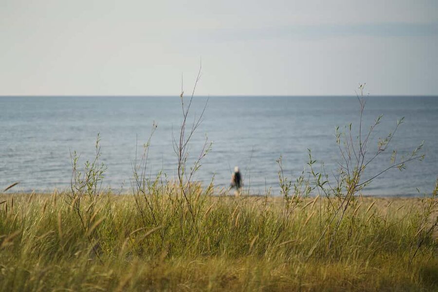From Riga: Explore Latvian Nature With a Local Photographer - Key points at a glance