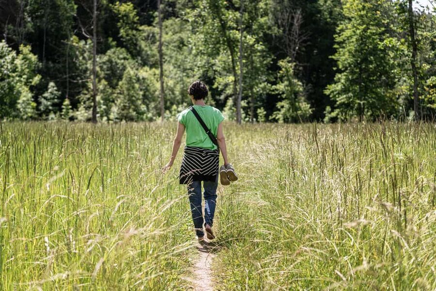 From Riga: Explore Latvian Nature With a Local Photographer - Leaving Riga with a photographer