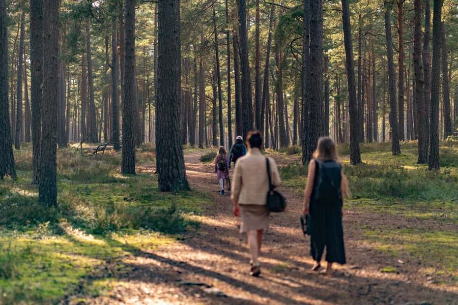 From Riga: Explore Latvian Nature With a Local Photographer - What the drive adds to the day