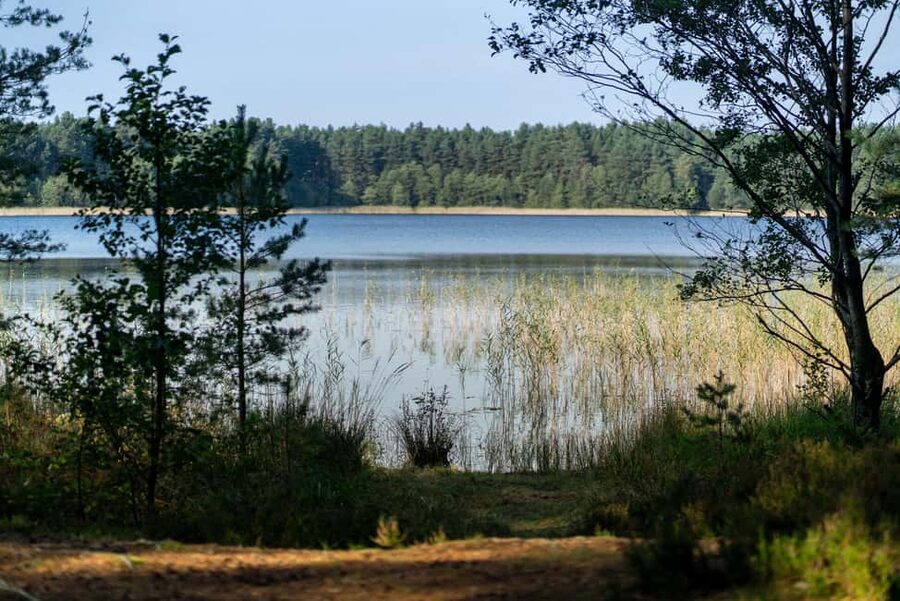 From Riga: Explore Latvian Nature With a Local Photographer - Photographing the countryside your own way