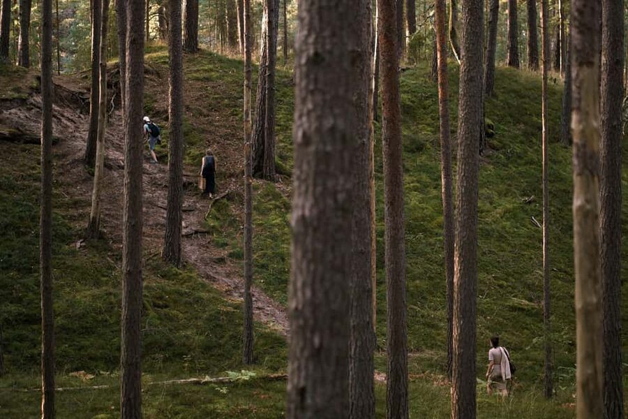 From Riga: Explore Latvian Nature With a Local Photographer - Is $24 a good value?