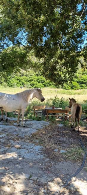 From Tirana: Cape of Rodon Sunset Photography Tour & Hiking! - Hoxha bunkers and Albania’s stranger scenery