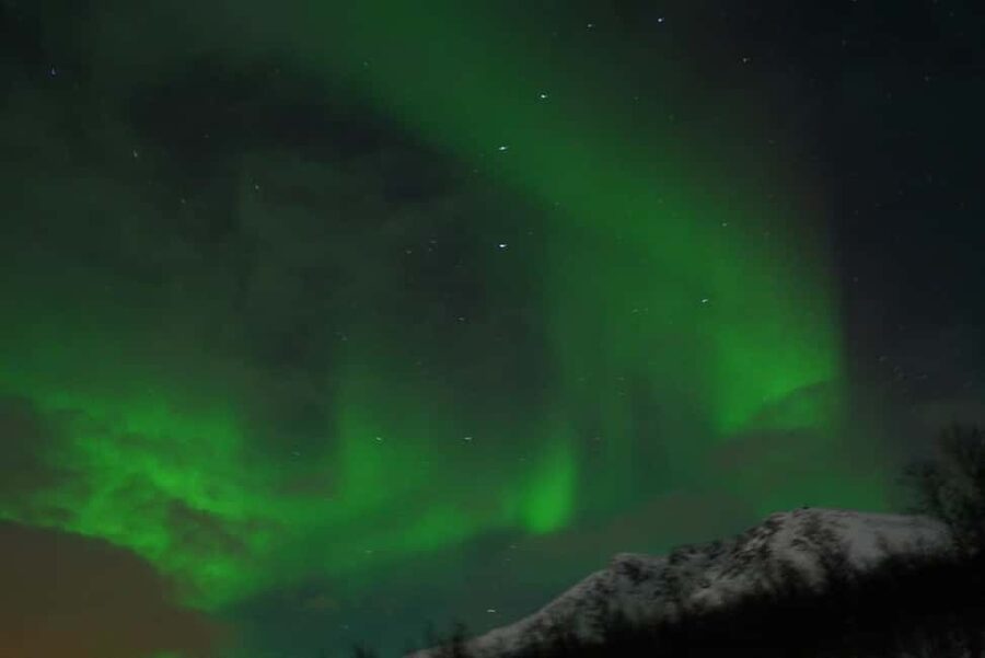 From Tromsø: Aurora Bus Tour with Snacks, Photos, and Drinks - Inside the heated coach for a long Arctic night