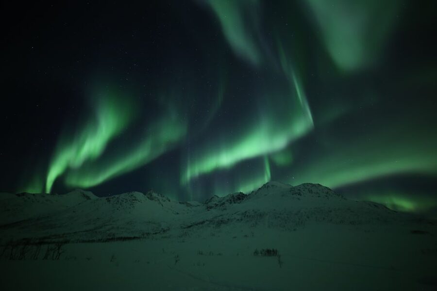 From Tromso: Northern Lights Photography Tour - The hidden viewpoint and the final ride home