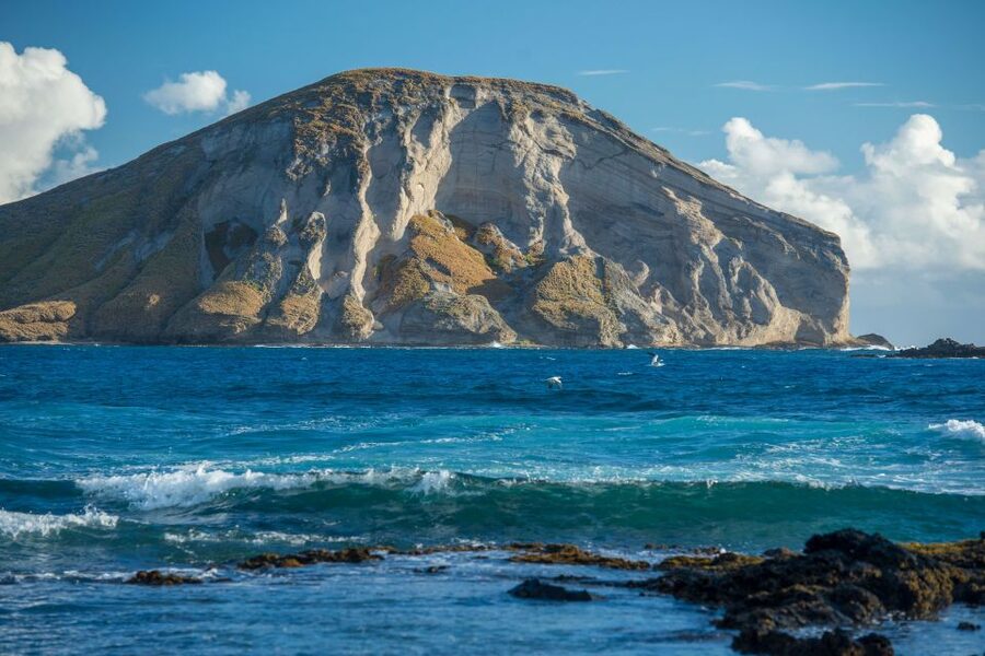 From Waikiki: Best of Oahu Photo Tour with Pickup - Ono Steaks & Shrimp makes lunch a local choice