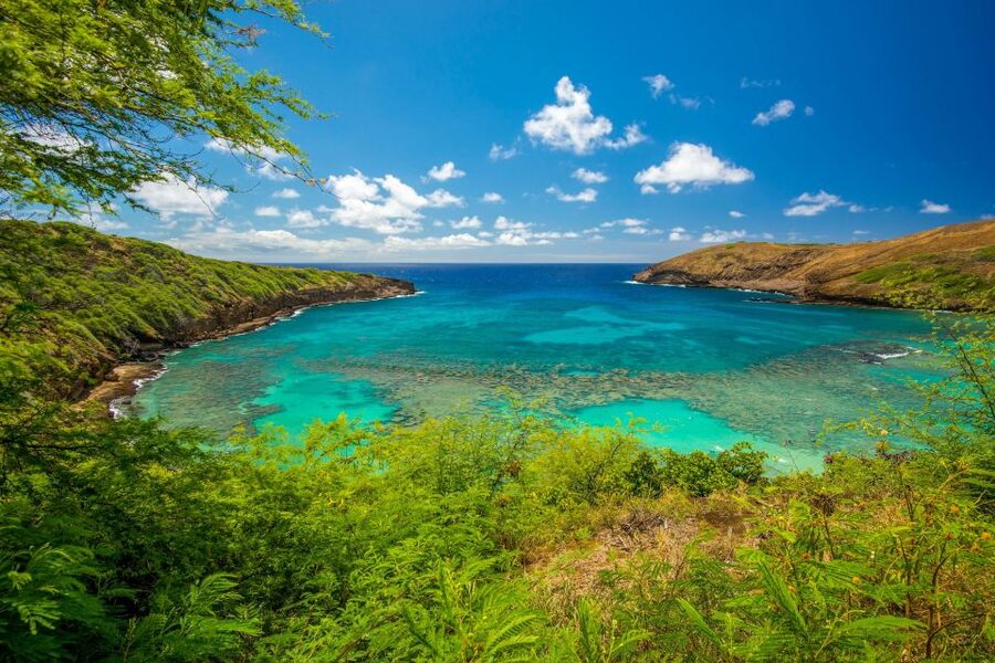 From Waikiki: Best of Oahu Photo Tour with Pickup - Makapuʻu, Sandy Beach, and the volcanic coast