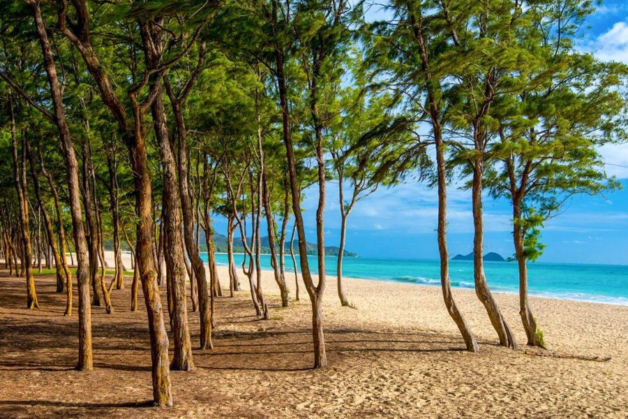 From Waikiki: Best of Oahu Photo Tour with Pickup - What you actually learn about photography