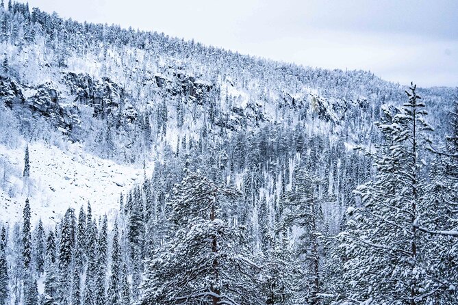 Frozen Waterfalls of Korouoma Canyon tour with Pro Photos & BBQ - Frozen waterfalls and the canyon viewpoint