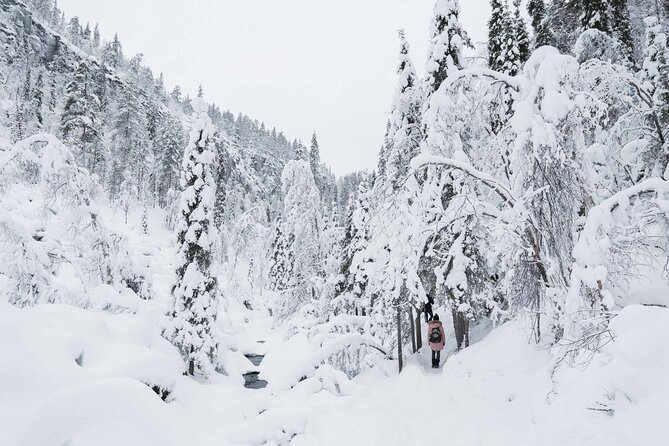 Frozen Waterfalls of Korouoma Canyon tour with Pro Photos & BBQ - A BBQ lunch in the wilderness