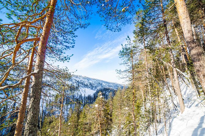 Frozen Waterfalls of Korouoma Canyon tour with Pro Photos & BBQ - Gear that makes the cold manageable
