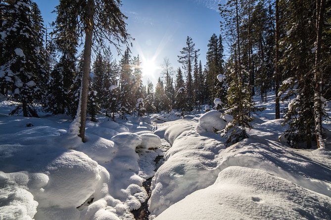 Frozen Waterfalls of Korouoma Canyon tour with Pro Photos & BBQ - The photography service is more than a bonus