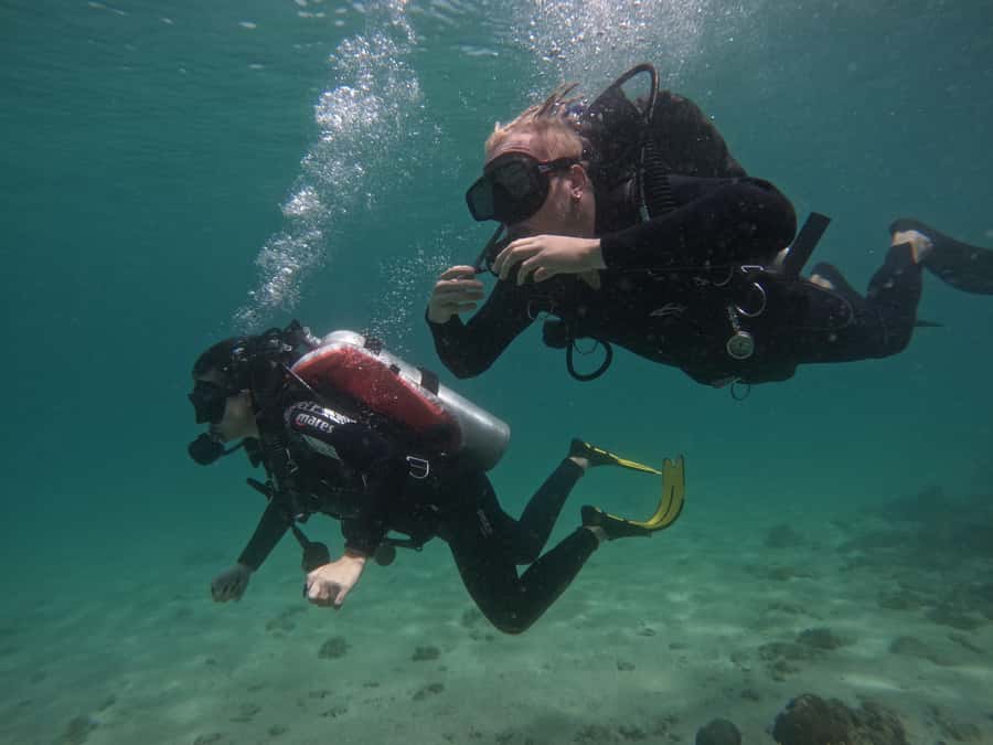 Fujairah: Try Diving Experience with underwater photos - Who should book this Fujairah activity?