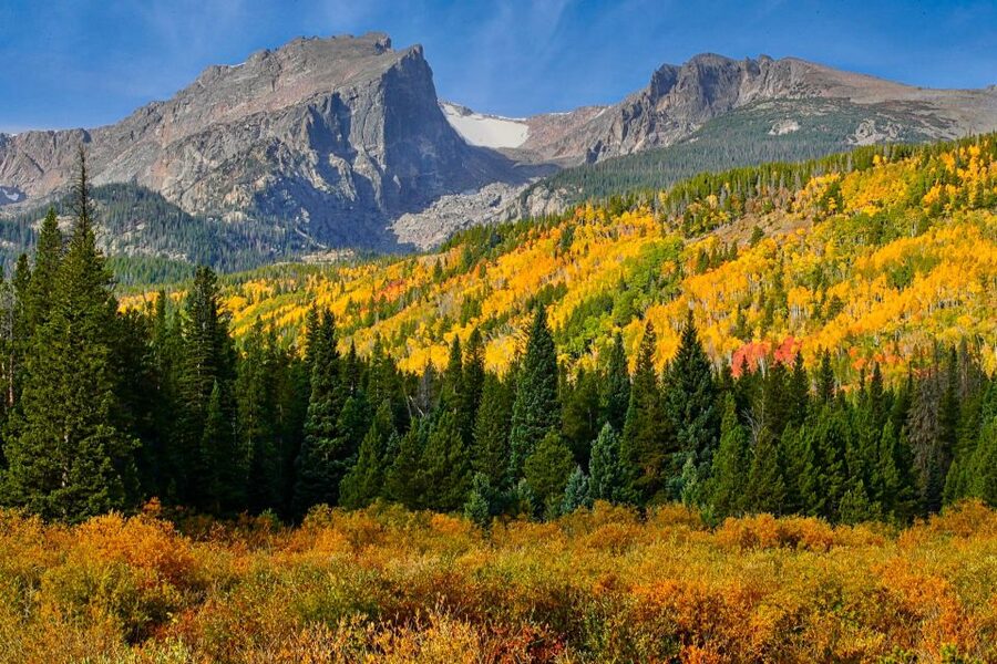 Full-Day RMNP Over the Top Tour - RMNPhotographer - Price, park fees, and what you receive