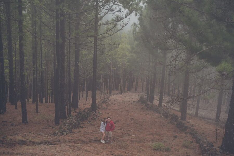 Gran Canaria: Full-Day Customizable Private Photography Tour - From Dry Southwest to Mountain Views