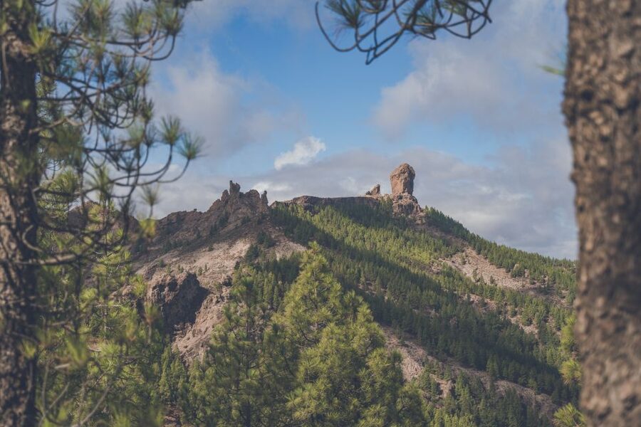 Gran Canaria: Full-Day Customizable Private Photography Tour - Tilos de Moya and the Green North