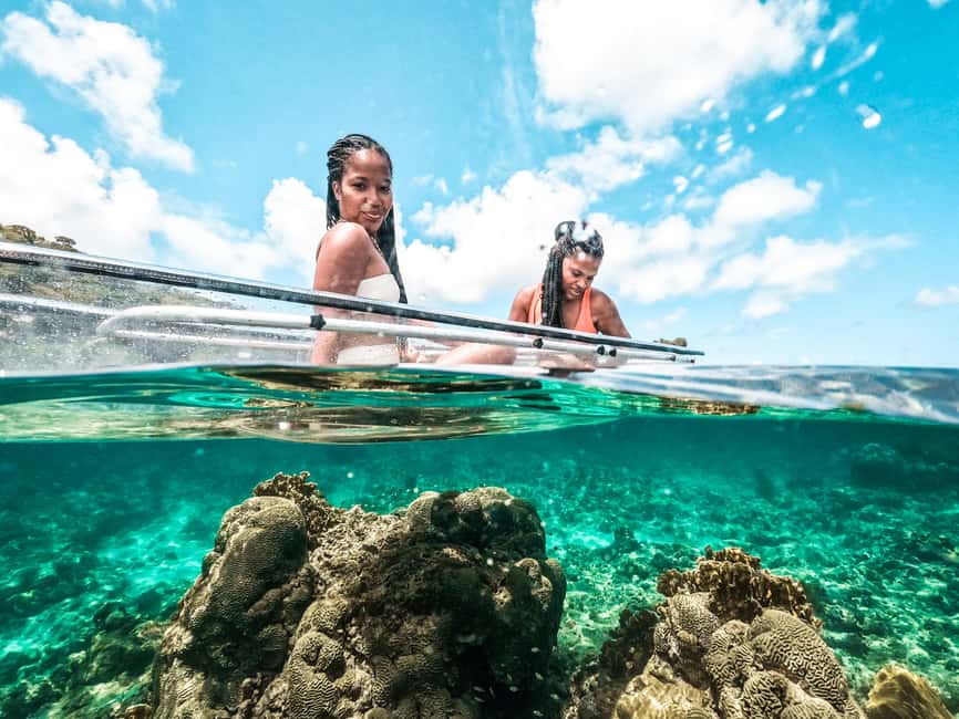 Grenada: Clear Kayak Tour with Drone Photoshoot - Why the clear kayak changes the reef experience
