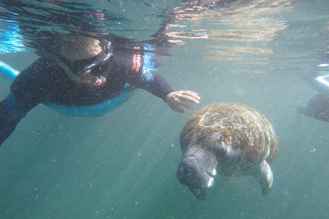 Guided Small Group Manatee Snorkeling Tour with In-Water Photographer - Key points to know before booking