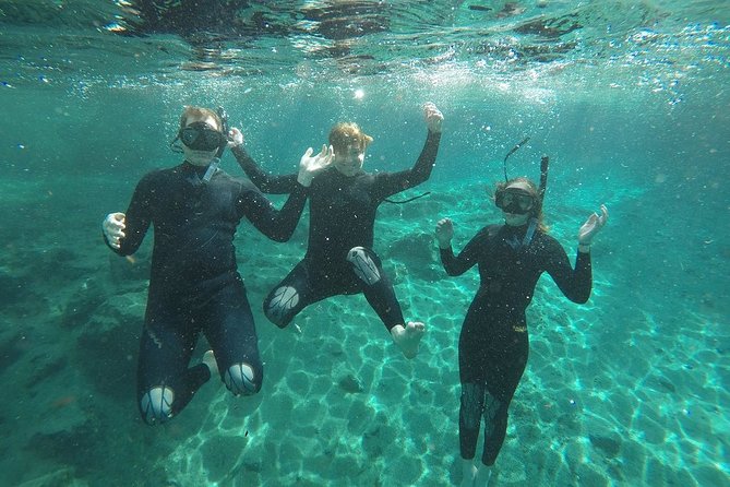 Guided Small Group Manatee Snorkeling Tour with In-Water Photographer - Why Crystal River is the right setting
