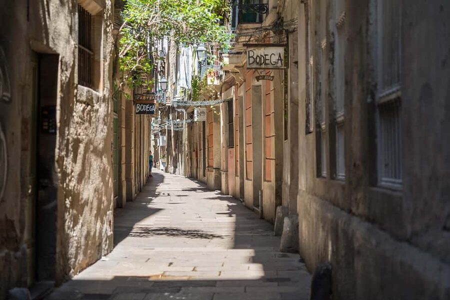 Guided tour of Barcelona in French (Old Town & Instagram spots) - Who will get the most from this Barcelona walk?