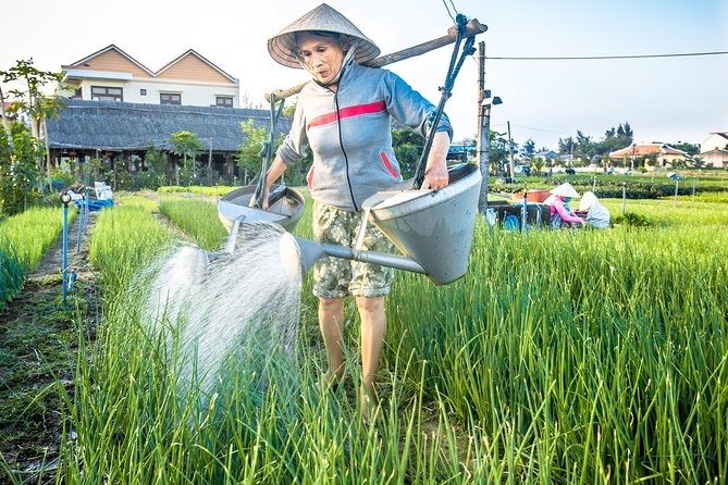 Half-day Hoi An Sunrise Or Sunset Photo Tour - Sunrise begins at Cua Dai Port