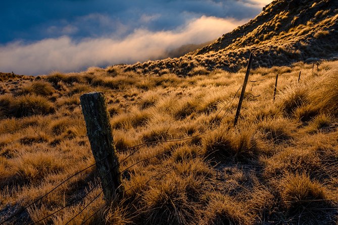 Half-Day Queenstown Photography Tour - Is this Queenstown photography tour worth booking?