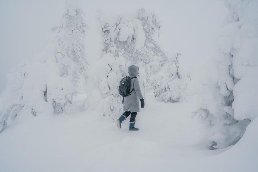 Hiking in Riisitunturi National Park with Photographer - Key points at a glance