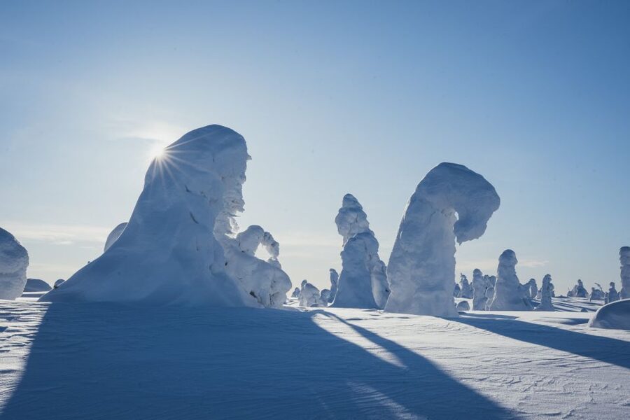 Hiking in Riisitunturi National Park with Photographer - Weather, clothing, and practical limits