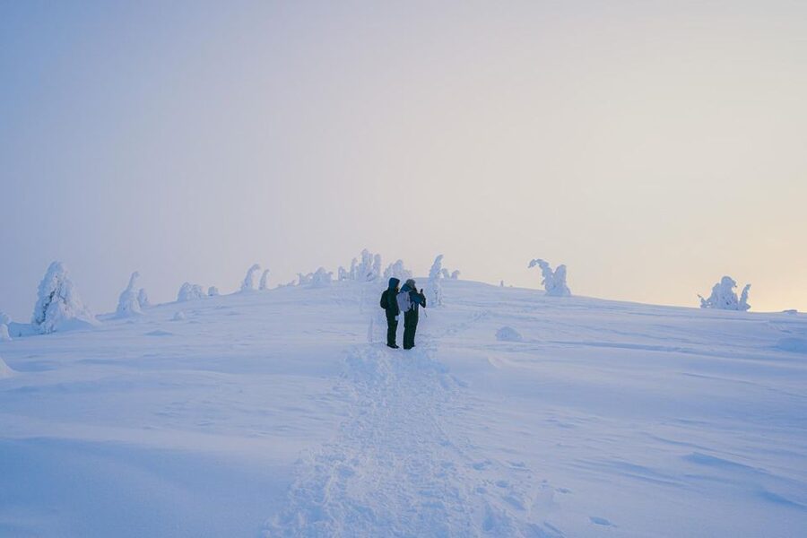 Hiking in Riisitunturi National Park with Photographer - A 5-kilometer walk through the winter park