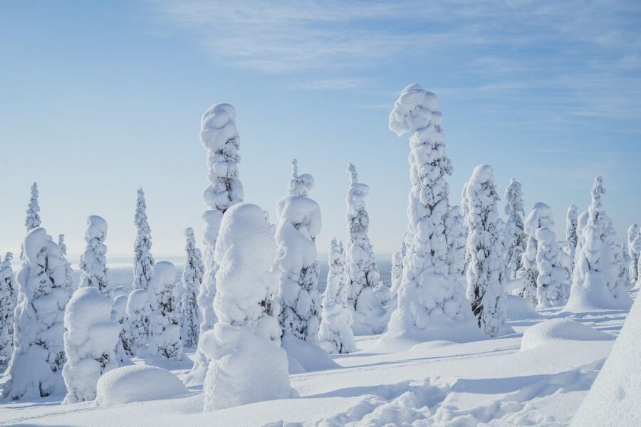 Hiking in Riisitunturi National Park with Photographer - The Rovaniemi pickup and van ride