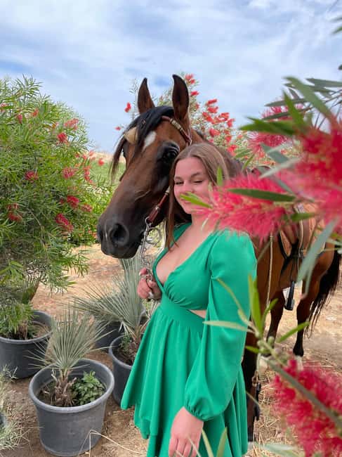 Hurghada: Desert & Sea Horse Riding with + 360° Photos - Key points to know before you book