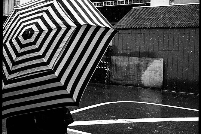Iconic New York City Photography Tour - Union Square Park: people and public space