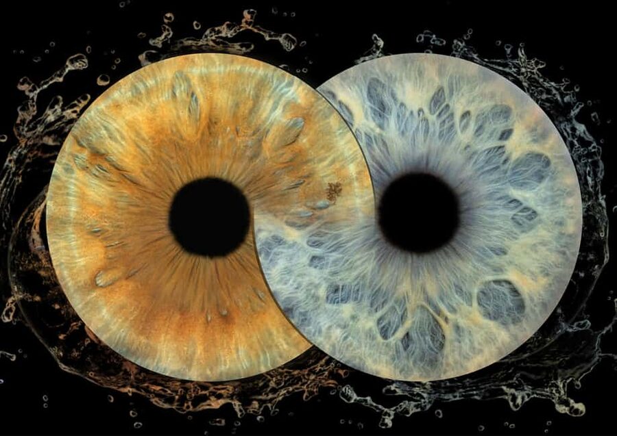 IRIS Photography (macro photo of your eye) - Key details before you book
