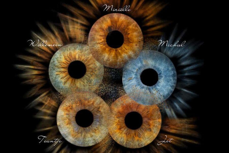 IRIS Photography (macro photo of your eye) - The digital photo and possible extras