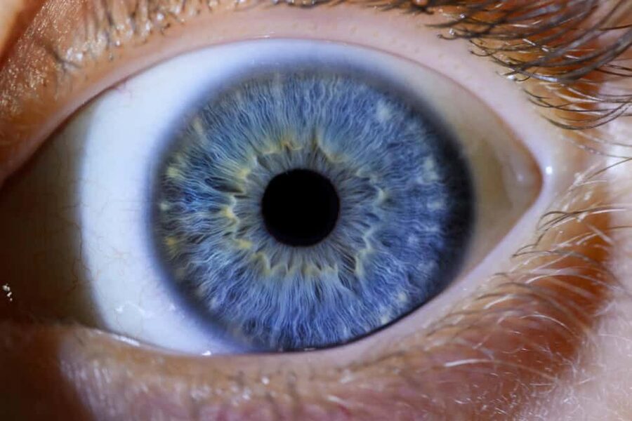 IRIS Photography (macro photo of your eye) - Helpful service in several languages