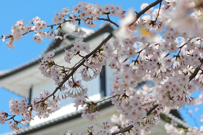 Kanazawa private half day/Photoshoot by professional photographer - Fifteen edited photos, not hundreds of random files