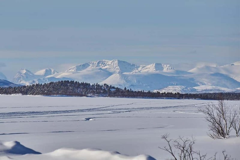 Kiruna: Wildlife and nature photography - Why the Sami guide adds real value