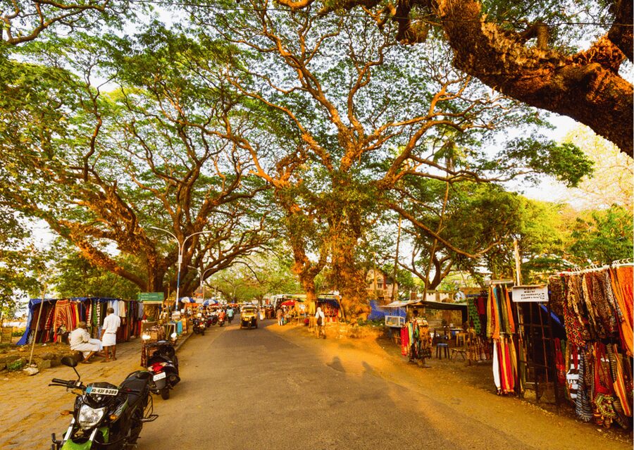Kochi Insta Photo Walk with Tuk Tuk Ride Experience - Fort Kochi Beach, Bastion Bungalow, and the fishing nets