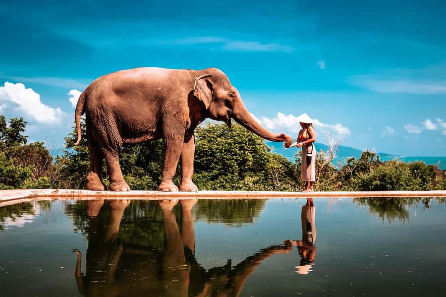 Koh Samui: Private Photoshoot for Couples & Families - Choosing between a beach, viewpoint, or waterfall