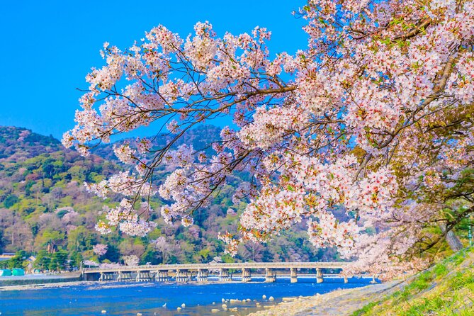 Kyoto 6hr Instagram Highlights Private Tour with Licensed Guide - Yasaka Shrine, the pagoda view, and Gion streets
