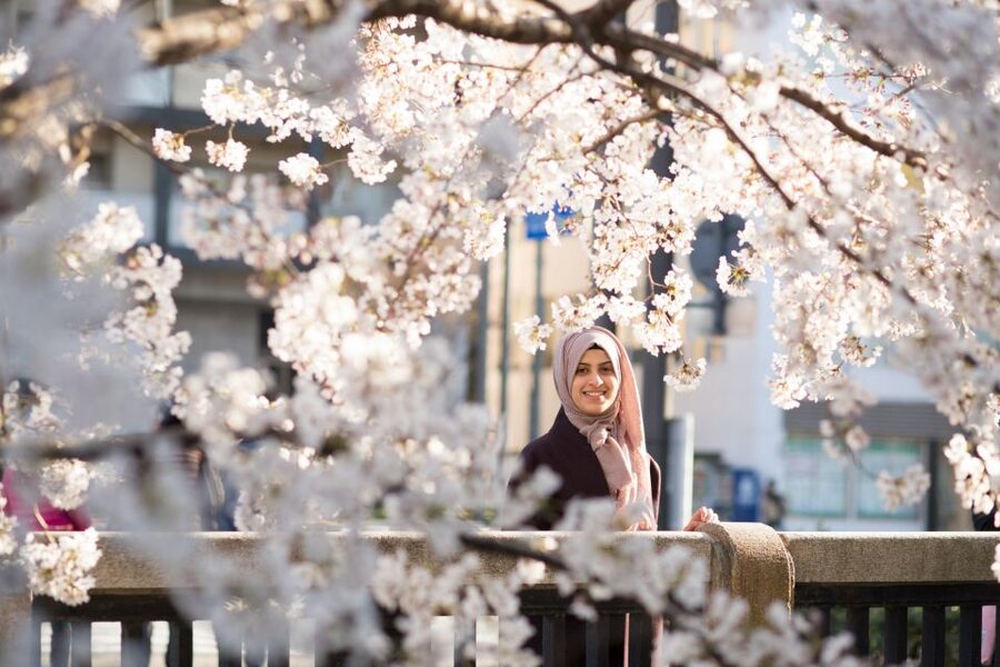 Kyoto: Photo Shoot with a Private Vacation Photographer - A Kyoto photo session built around your plans